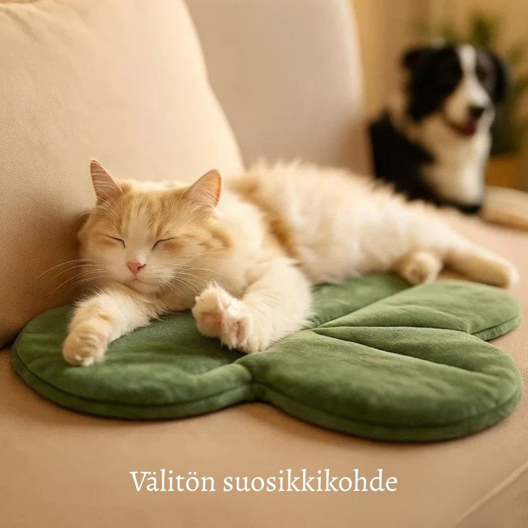 LämpöTassu – Lämmin ja turvallinen peti lemmikillesi talven kylmiin päiviin